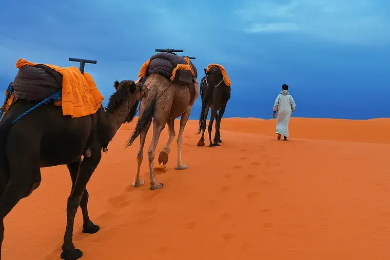 Best Desert Tours from Fes to Marrakech and Merzouga
