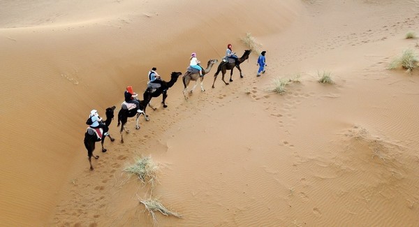Morocco camel trekking, Tours Marrakech Merzouga