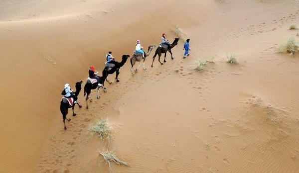 Morocco Desert trips