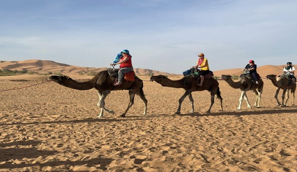 Morocco Desert trips