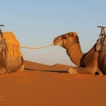 3 Days from Fes Morocco desert tour - Desert Day Tours