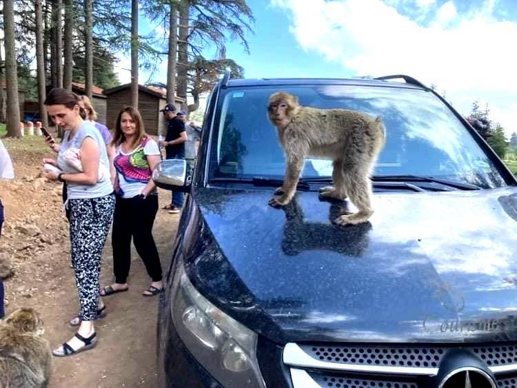 Desert Tours from Marrakech to Sahara