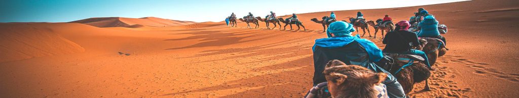 Desert Day Tours