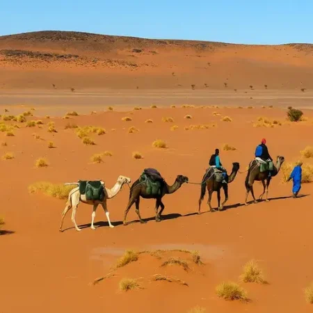 Morocco Desert Tour, 3 4 5 Days